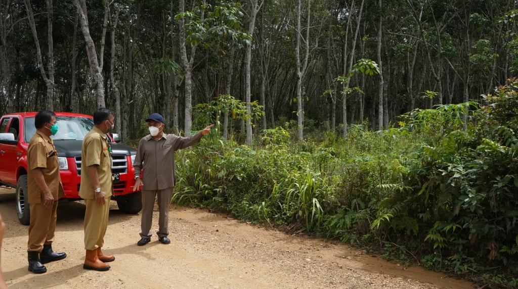 Pemkab Kubar Fokus Pertanian, Bangun Jalan Usaha Tani, Peremajaan Karet